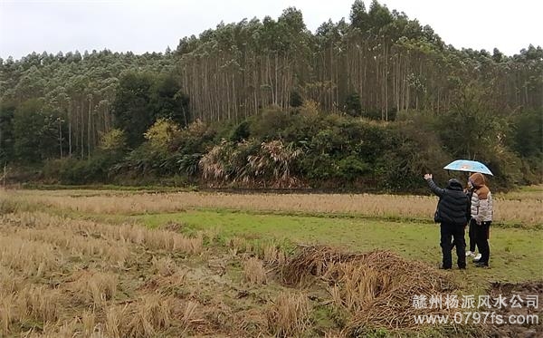 湖州市陈老师带着爱徒寻龙点穴